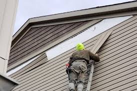 Best Vinyl Siding Installation  in Coldstream, KY